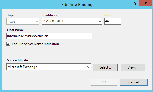 Set ip address to edit site binding