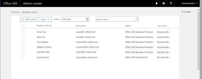 Users in Azure AD after synchronization.