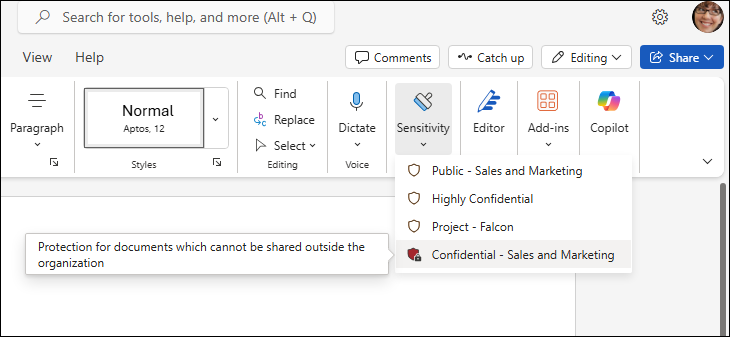 Sensitivity button in Word for the web.