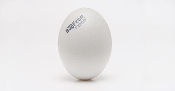 CodeTwo Easter card 2019