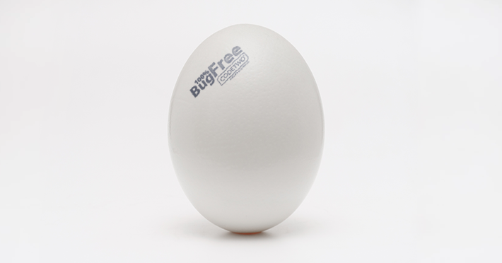 We wish you a bug-free Easter