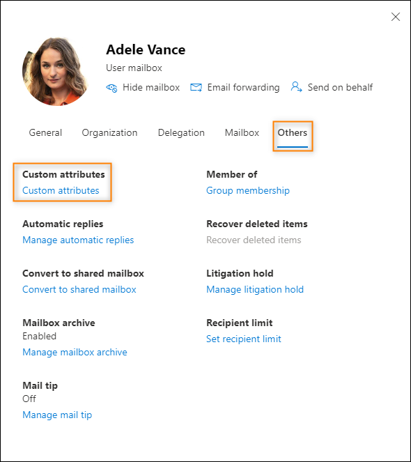 Accessing custom attributes settings in the Exchange admin center.