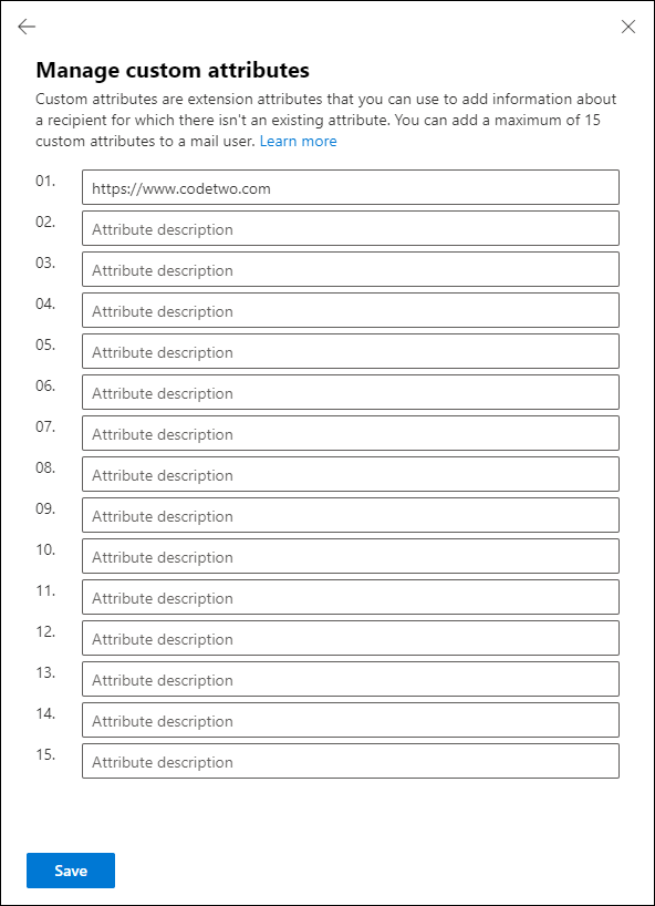 The pane that lets you set up Office 365 custom attributes for the selected user.