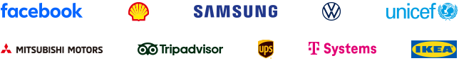 Companies that trusted us