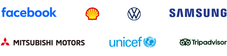 Companies that trusted us