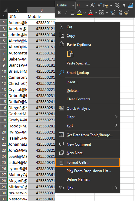  Accessing cell format options in Excel