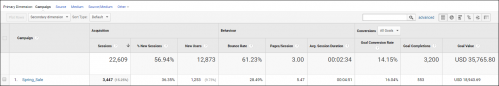 Google Analytics report sample.