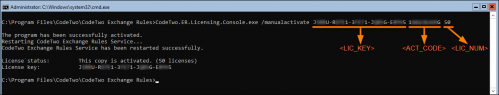 A successful manual activation on Server Core.