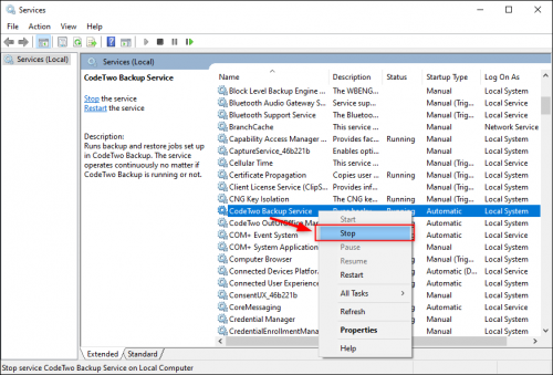 Stopping the CodeTwo Backup Service