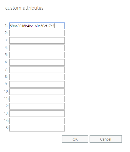 Editing custom Exchange attributes.
