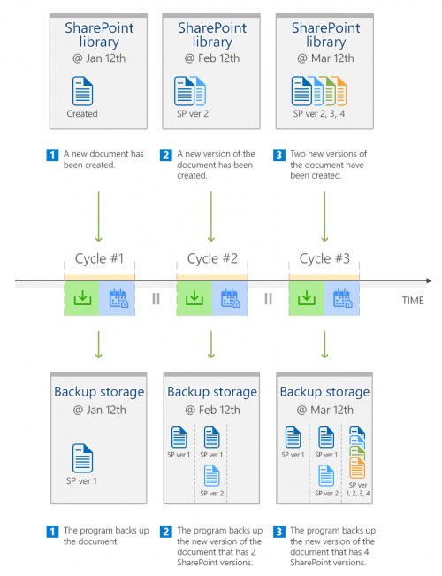 SharePoint library backup scheme in CodeTwo Backup