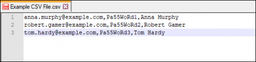 Exchange Migration - example CSV file Notepad