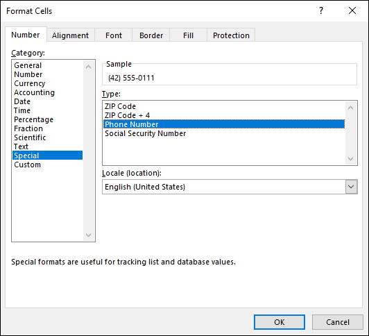 Applying the default phone number format.