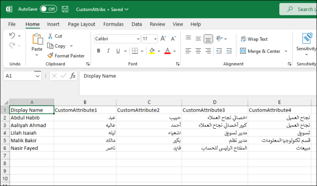 The sample CSV file with values to be imported into custom attributes in Exchange Online.