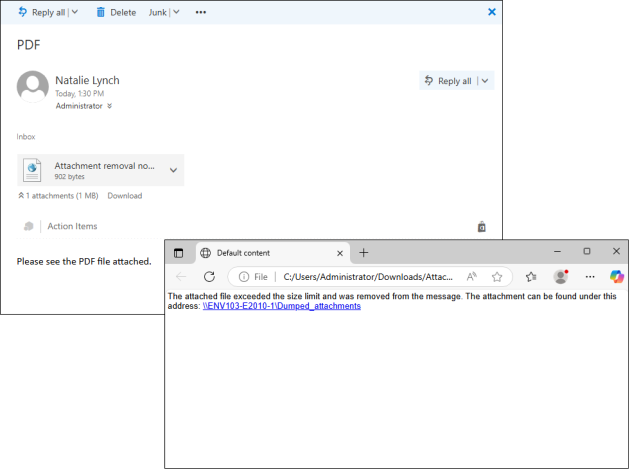 A received message that was stripped of attachments and a notification informing about the location where those attachments are stored.