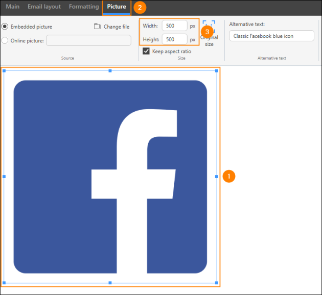 Resizing an already inserted image with the controls on the Picture tab.