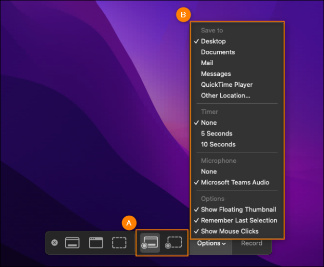 The options configurable for Screenshot toolbar.