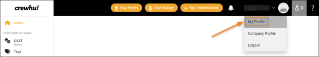 Accessing the My Profile page.