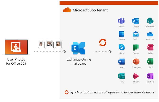 CodeTwo User Photos for Office 365 - How the software works